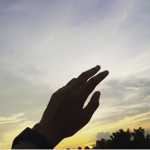 สมาชิกหมายเลข 5087824