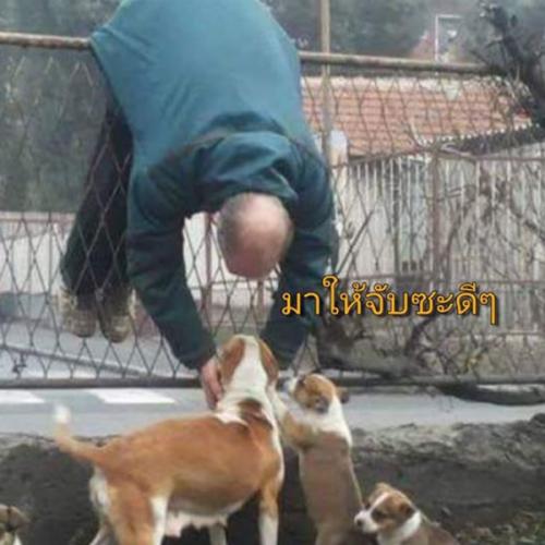 สมาชิกหมายเลข 5448377