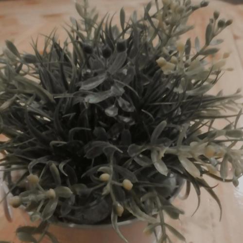 สมาชิกหมายเลข 4986815