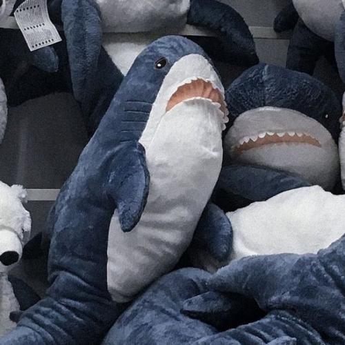 สมาชิกหมายเลข 5929293