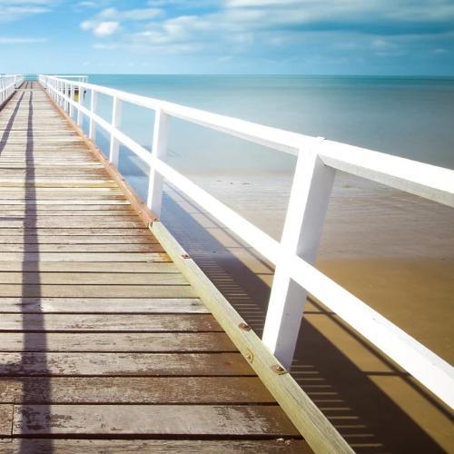 สมาชิกหมายเลข 6011144