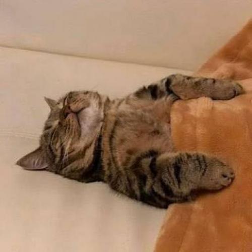 สมาชิกหมายเลข 6011374