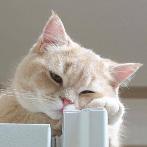 สมาชิกหมายเลข 6625187