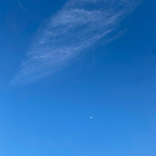 สมาชิกหมายเลข 5462029