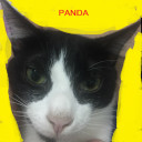 สมาชิกหมายเลข 4349798