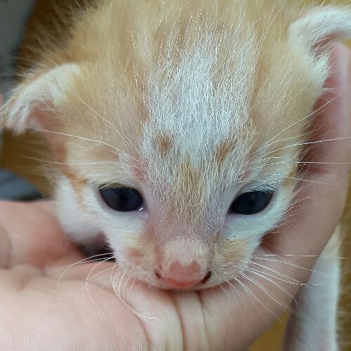 สมาชิกหมายเลข 4717059