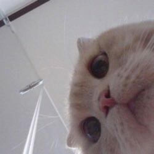 สมาชิกหมายเลข 4717089