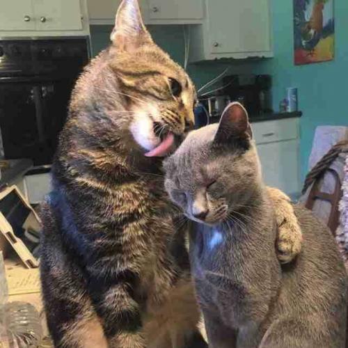 สมาชิกหมายเลข 5088355