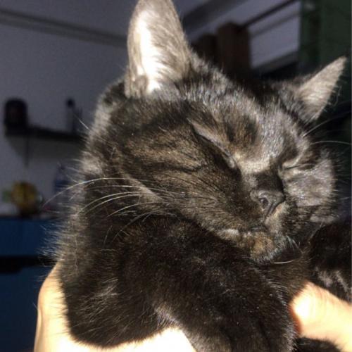 สมาชิกหมายเลข 4478960