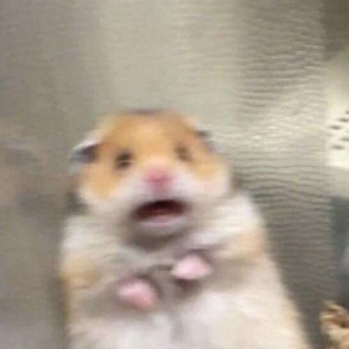 สมาชิกหมายเลข 6011870