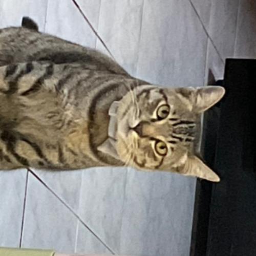 สมาชิกหมายเลข 4098567