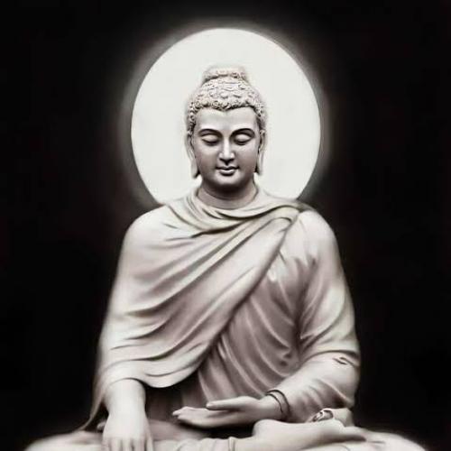 สมาชิกหมายเลข 5355252