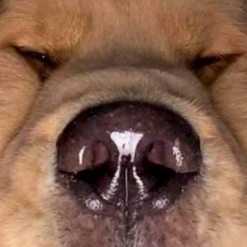 สมาชิกหมายเลข 8249251