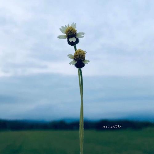 สมาชิกหมายเลข 9244877