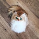 สมาชิกหมายเลข 2653172