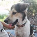 สมาชิกหมายเลข 3613701