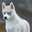 สมาชิกหมายเลข 3882526