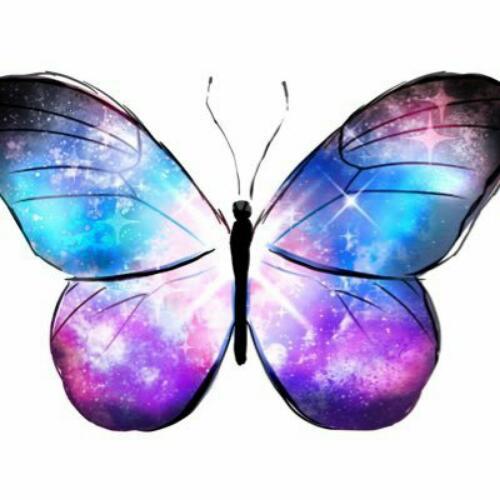 สมาชิกหมายเลข 4519443