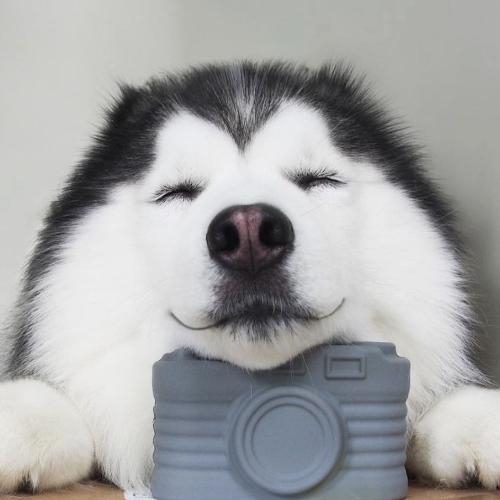 สมาชิกหมายเลข 5088791