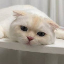 สมาชิกหมายเลข 5110068