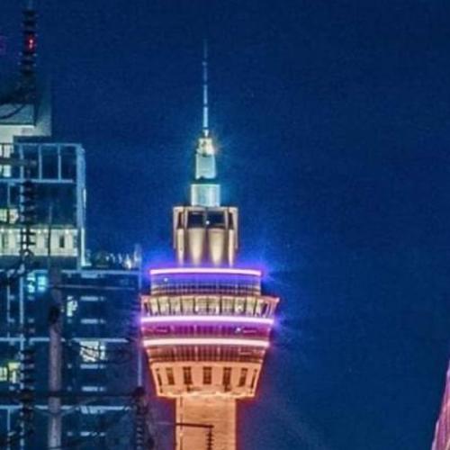 สมาชิกหมายเลข 5955567