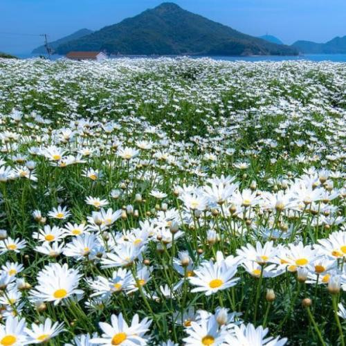 สมาชิกหมายเลข 6012546