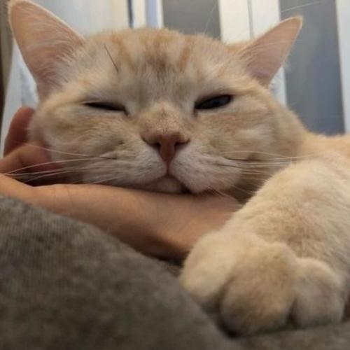 สมาชิกหมายเลข 6027533