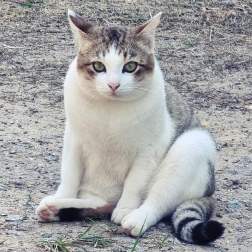 สมาชิกหมายเลข 2808102