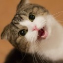 สมาชิกหมายเลข 865086