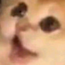 สมาชิกหมายเลข 3865355