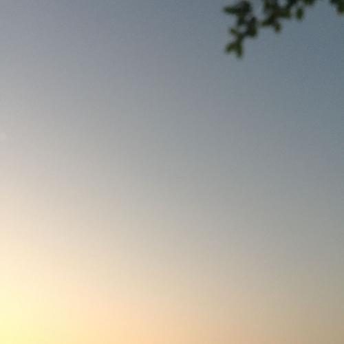 สมาชิกหมายเลข 4622522