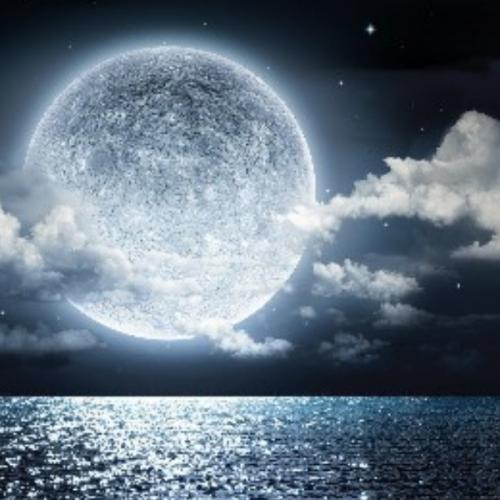 สมาชิกหมายเลข 1023342