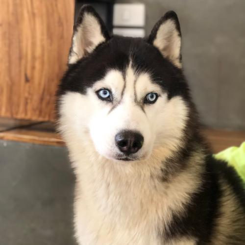 สมาชิกหมายเลข 6012762