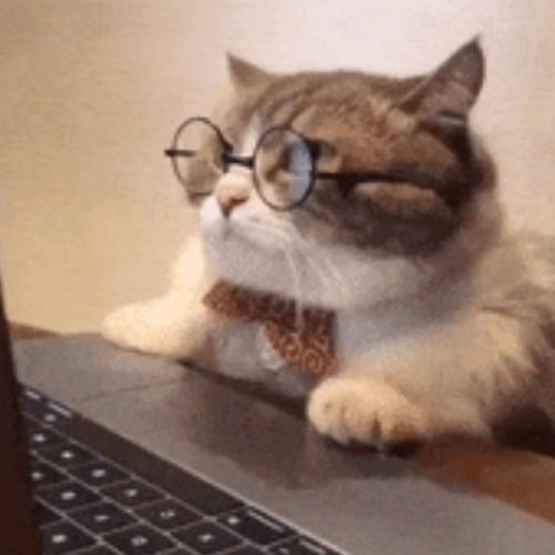 สมาชิกหมายเลข 2053461