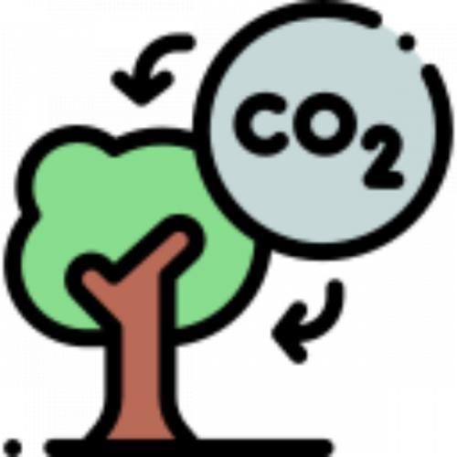 สมาชิกหมายเลข 5294452