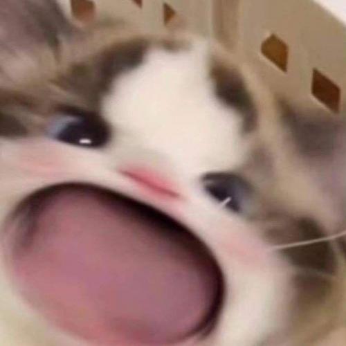 สมาชิกหมายเลข 6957181