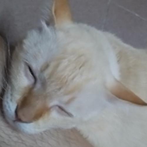 สมาชิกหมายเลข 8221123