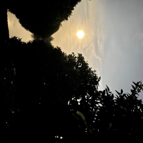 สมาชิกหมายเลข 8249714