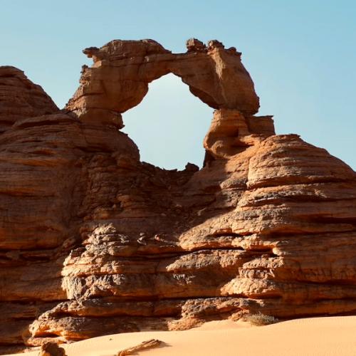 สมาชิกหมายเลข 9024304