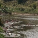 สมาชิกหมายเลข 2812834