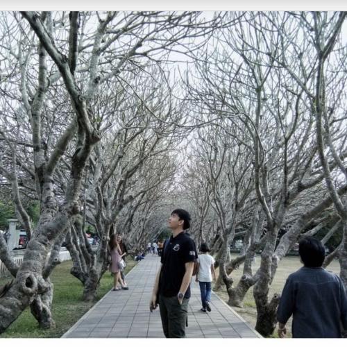 สมาชิกหมายเลข 3639660