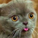 สมาชิกหมายเลข 4718113