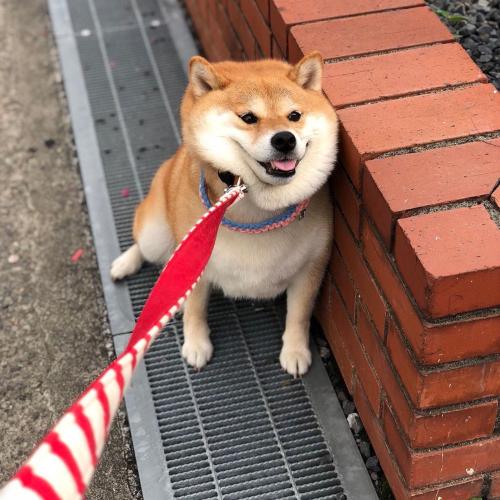 สมาชิกหมายเลข 4718256