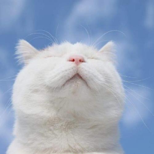 สมาชิกหมายเลข 5151999