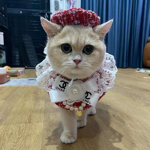 สมาชิกหมายเลข 7368925