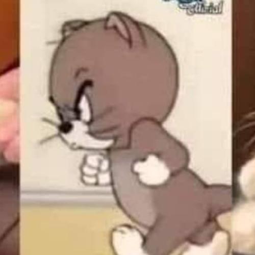 สมาชิกหมายเลข 7369453