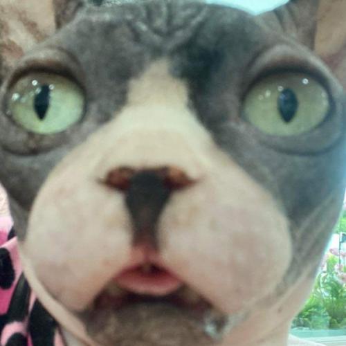 สมาชิกหมายเลข 8128091