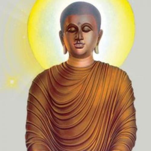 สมาชิกหมายเลข 8242123