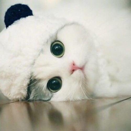 สมาชิกหมายเลข 4718620