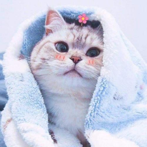 สมาชิกหมายเลข 1131353